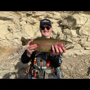 Meet your Posher, Colton